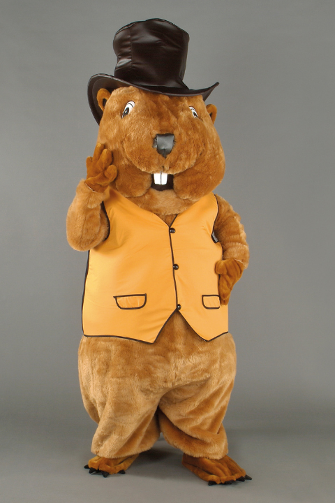 MASCOT COSTUME