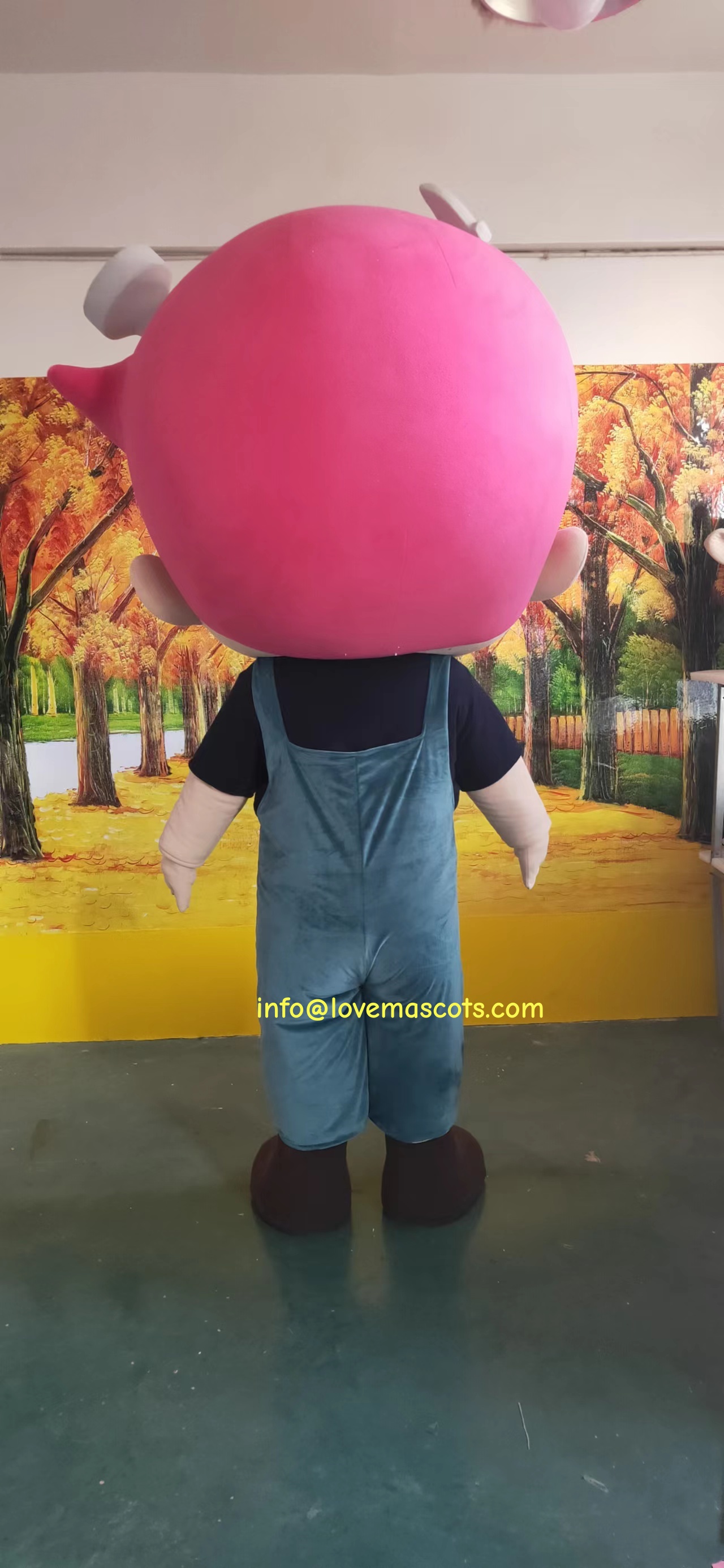 Boy mascot costume