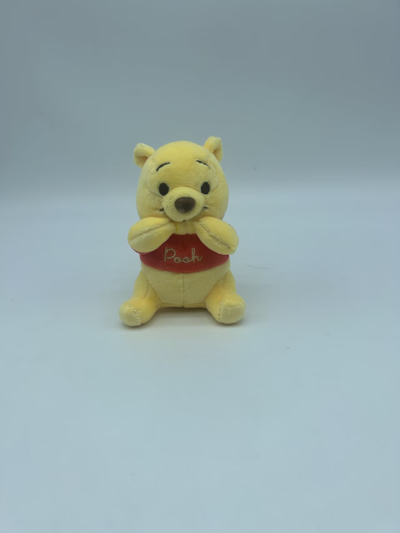 Custom-made Disney Winnie the Pooh Plush