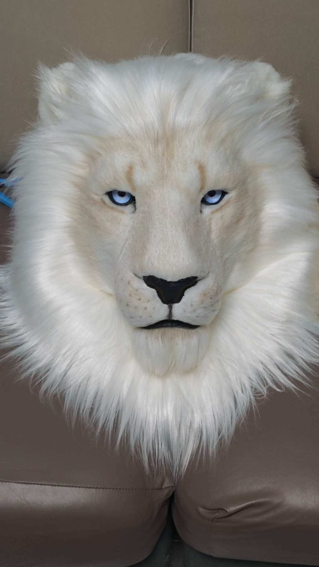 Custom-made animal headgear,  fursuit Head,realistic headgear- wild Boar,lion, tiger,  panda, etc.