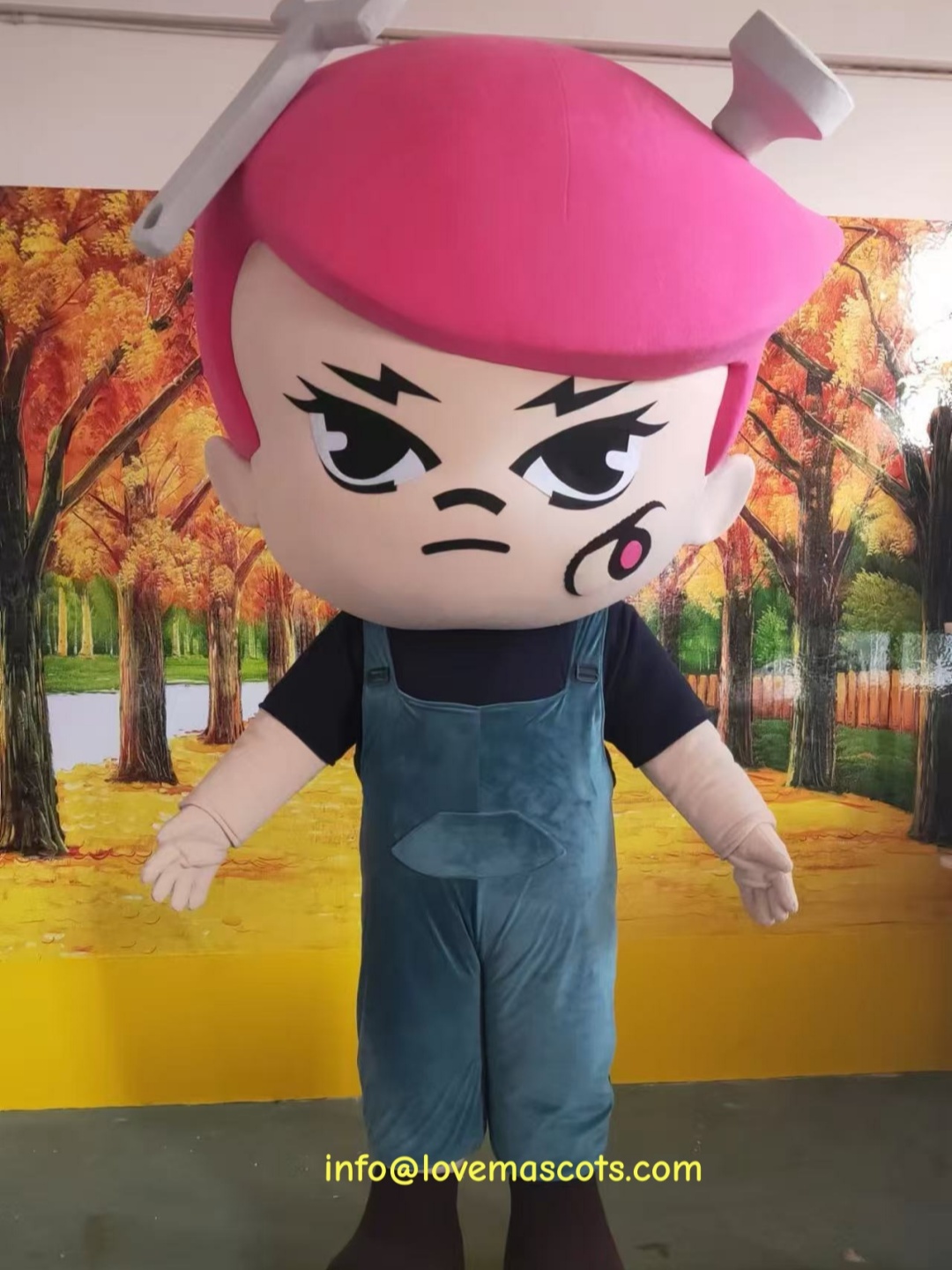 Boy mascot costume